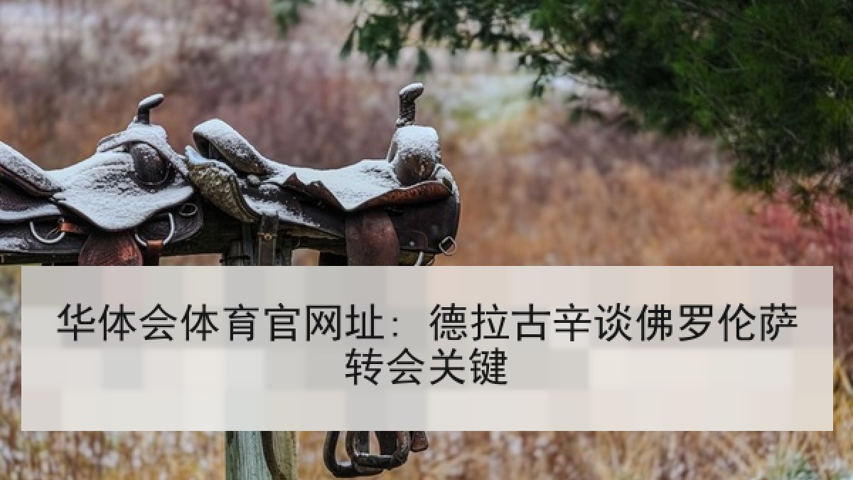 华体会体育官网址: 德拉古辛谈佛罗伦萨转会关键